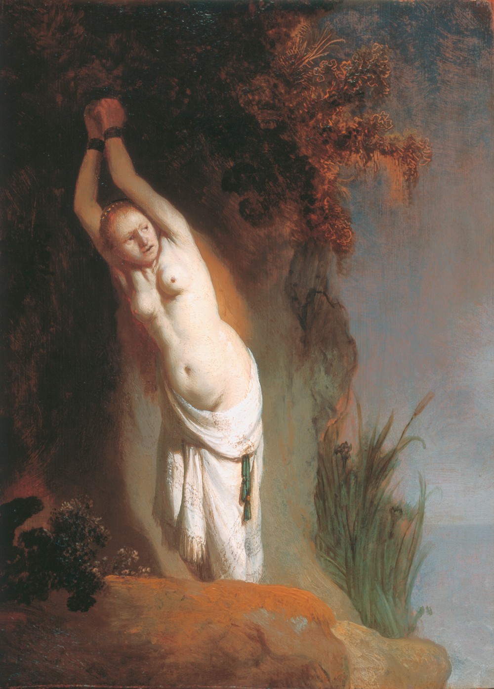 Rembrandt van Rijn — Andromeda